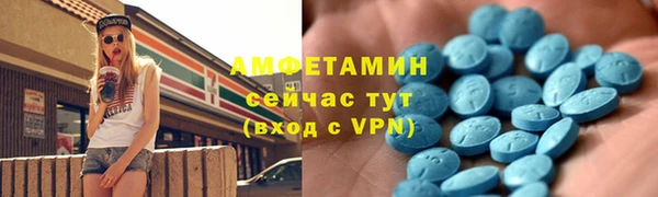 стаф Новозыбков