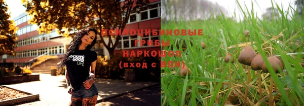 бутират Баксан