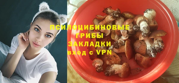 винт Балахна