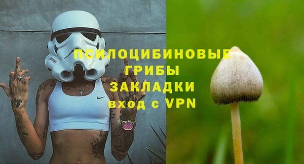 бутират Баксан